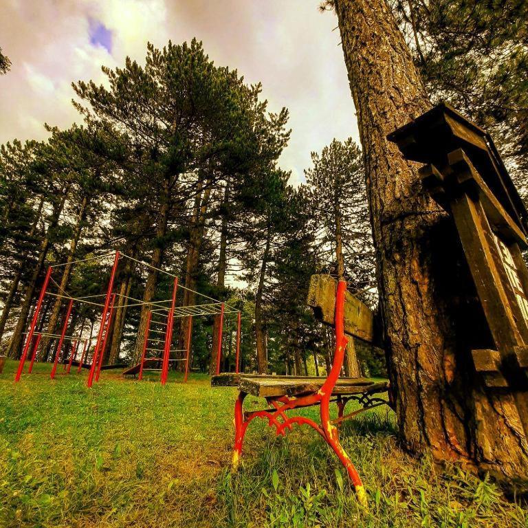 Brvnare Park Borova Vila Zlatibor Exterior foto
