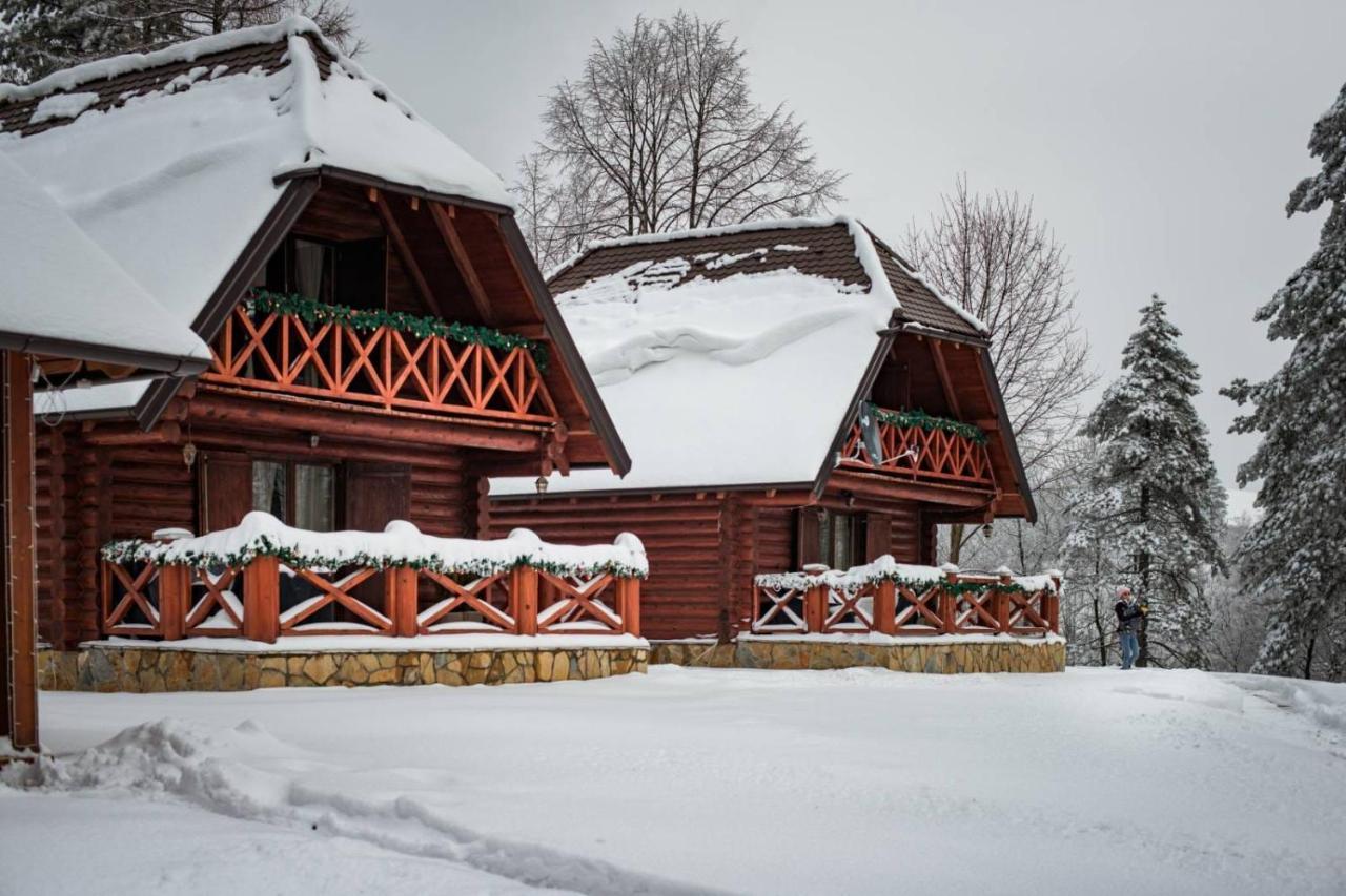 Brvnare Park Borova Vila Zlatibor Exterior foto