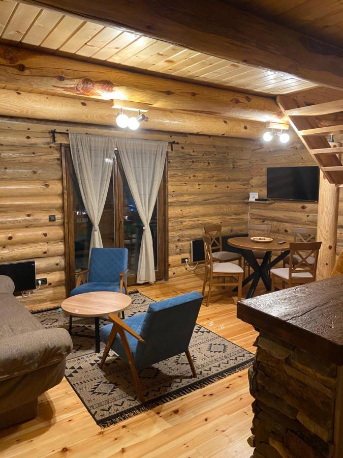 Brvnare Park Borova Vila Zlatibor Exterior foto