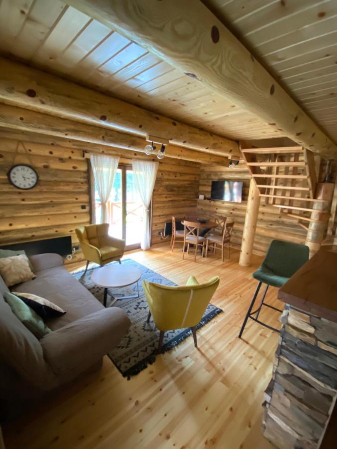 Brvnare Park Borova Vila Zlatibor Exterior foto