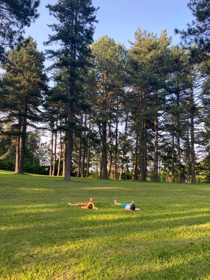 Brvnare Park Borova Vila Zlatibor Exterior foto